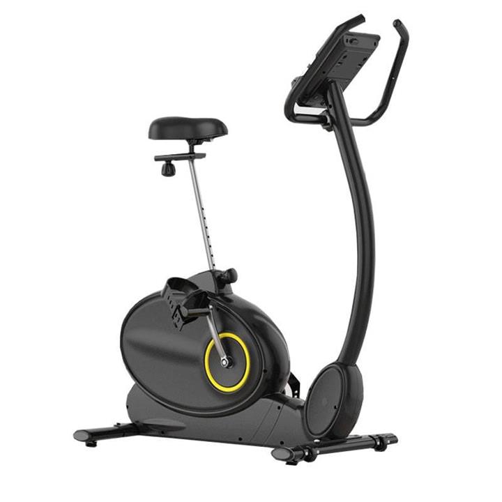 دوچرخه ثابت خانگی تایگر اسپرت مدل TS-1901 Tiger Sport Home Use Stationary Bike TS-1901